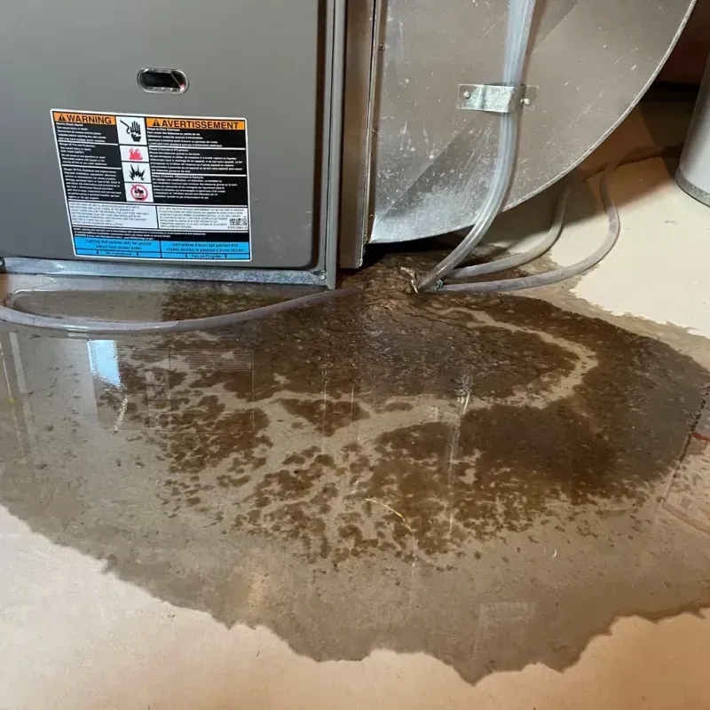 Appliance Leak Cleanup in Ford County, IL